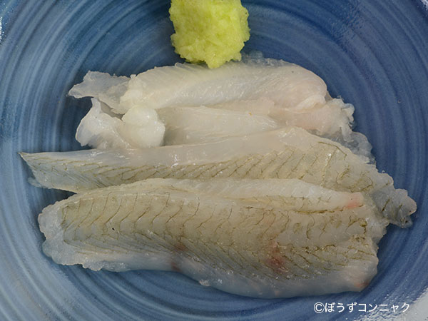 タマガンゾウビラメの刺身