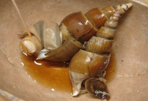 クリックで拡大表示