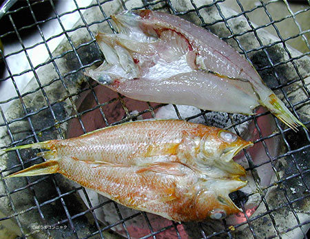 ヒメコダイの干もの