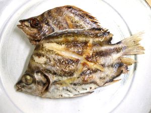 クリックで拡大表示 カゴカキダイの干もの