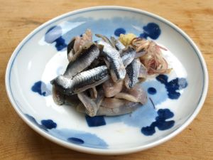 カタクチイワシ セグロイワシ 市場魚貝類図鑑 カタクチイワシ セグロイワシ 市場魚貝類図鑑