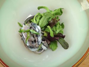 クリックで拡大表示 カタクチイワシのセビチェ