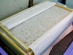 クリックで拡大表示