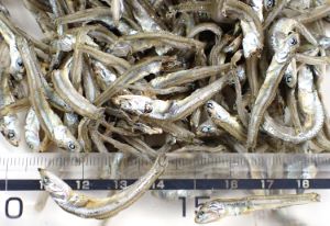 クリックで拡大表示