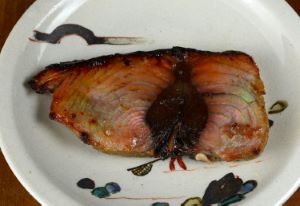 カツオ 魚類 市場魚貝類図鑑
