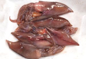 クリックで拡大表示