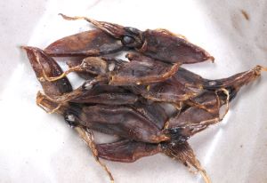 クリックで拡大表示