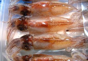 クリックで拡大表示