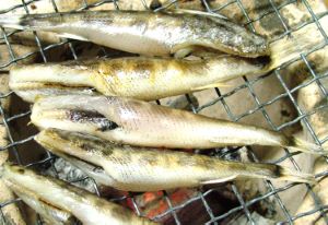 クリックで拡大表示