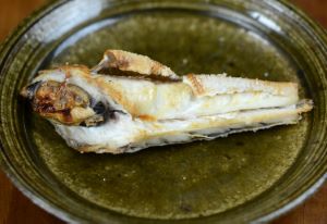 カナガシラ 魚類 市場魚貝類図鑑