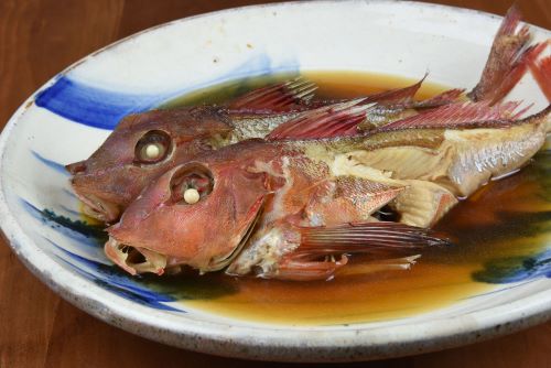 カナガシラ 魚類 市場魚貝類図鑑