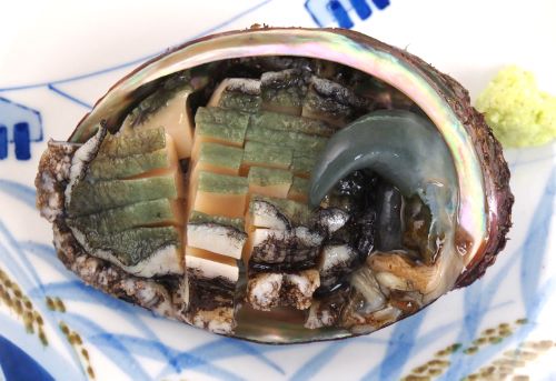 クリックで拡大表示 水貝