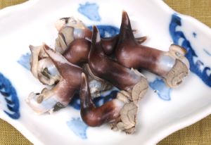 クリックで拡大表示