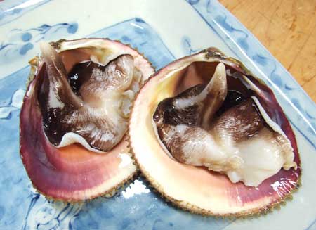 トリガイの刺身
