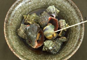 アカニシ 軟体 市場魚貝類図鑑 アカニシ 軟体 市場魚貝類図鑑