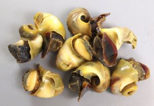 クリックで拡大表示