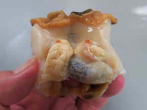 クリックで拡大表示 唾液腺を取る