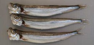 クリックで拡大表示