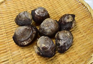 クリックで拡大表示