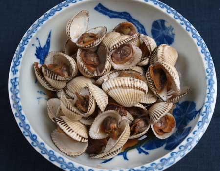 サルボウガイ 軟体 市場魚貝類図鑑 サルボウガイ 軟体 市場魚貝類図鑑