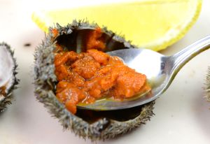 クリックで拡大表示