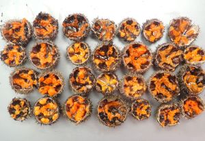 クリックで拡大表示