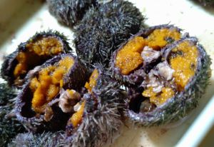 クリックで拡大表示