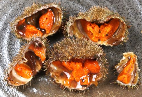 クリックで拡大表示