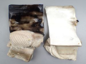 クリックで拡大表示 アオザメの皮の湯引き