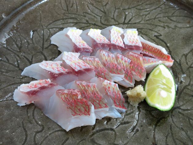 ソコイトヨリの皮霜造り
