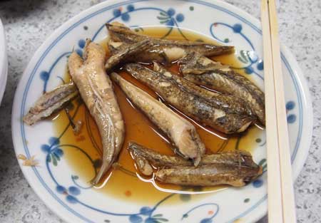 セトヌメリの煮つけ