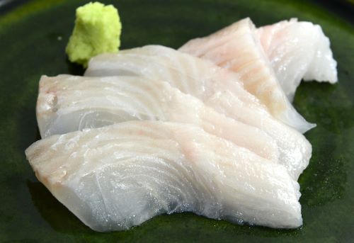 サメガレイ 魚類 市場魚貝類図鑑