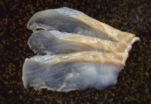 クリックで拡大表示