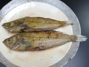 クリックで拡大表示 コケビラメの干もの