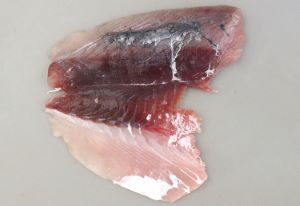 クリックで拡大表示