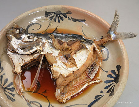 ギンカガミの煮つけ