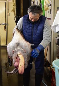 クリックで拡大表示