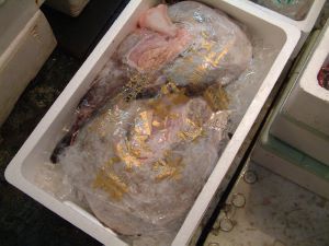 クリックで拡大表示