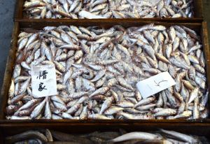 クリックで拡大表示