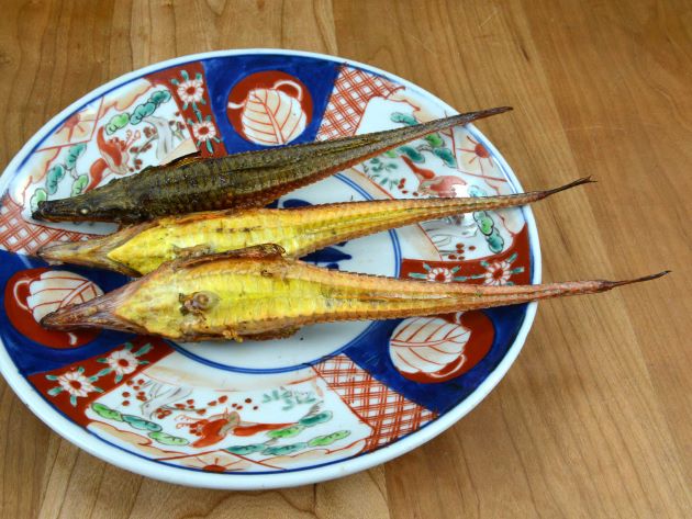 シチロウウオ | 魚類 | 市場魚貝類図鑑