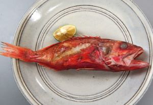 クリックで拡大表示