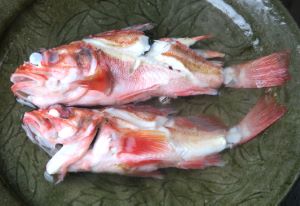 クリックで拡大表示