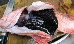 クリックで拡大表示