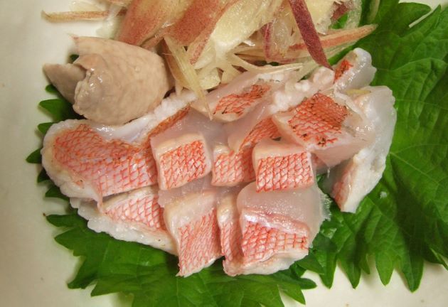 ゆめかさごページ ユメカサゴ - WEB魚図鑑