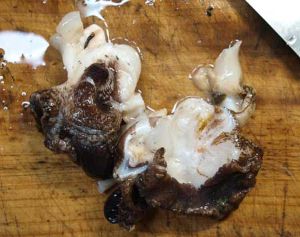 クリックで拡大表示 ヤツシロガイの身
