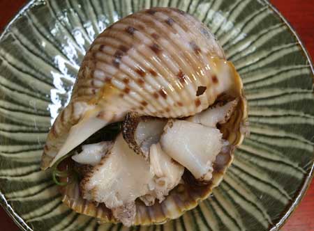 クリックで拡大表示 ヤツシロガイの刺身