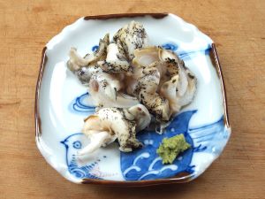 シライトマキバイ トウダイツブ 市場魚貝類図鑑 シライトマキバイ トウダイツブ 市場魚貝類図鑑