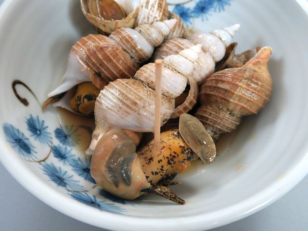 トウダイツブの煮もの