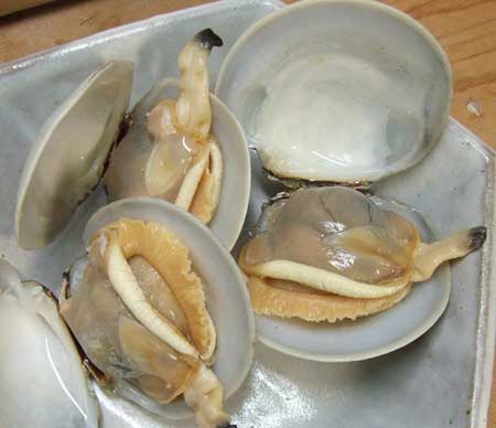 カガミガイの酒蒸し