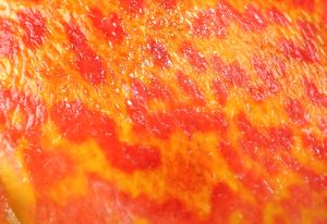 クリックで拡大表示